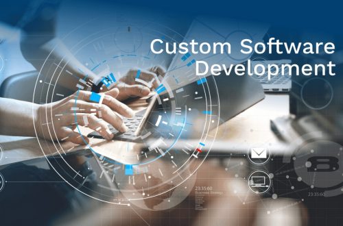 7-Reasons-to-Choose-Custom-Software-Development-Services-for-Business-Growth